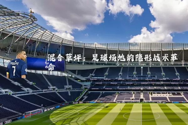 混合草坪：足球场地的隐形战术革命